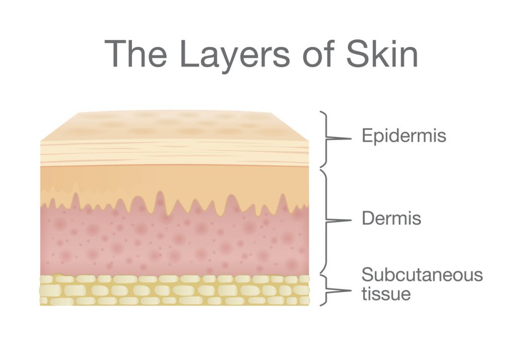 The Portrait - Skin Rejuvenation | ENRICH Clinic Melbourne
